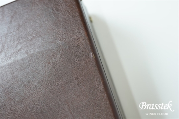 Alto Saxophone SA80 SERIE ll W/E 池上政人氏選定品