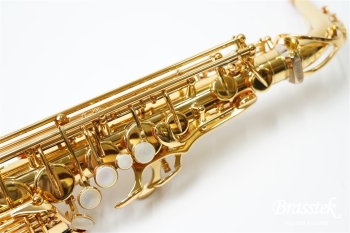 Alto Saxophone YAS-875EX