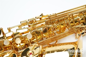 Alto Saxophone YAS-875EX