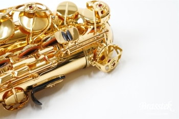 Alto Saxophone YAS-875EX