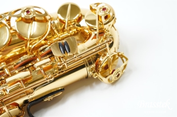 Alto Saxophone YAS-875EX