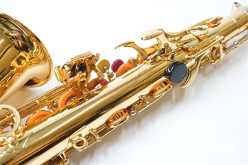 Alto Saxophone YAS-875EX