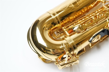 Alto Saxophone YAS-875EX