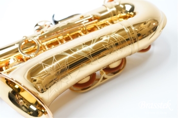 Alto Saxophone YAS-875EX