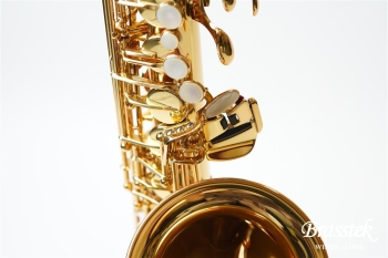 Alto Saxophone YAS-875EX