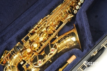 Alto Saxophone YAS-875EX