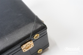 Alto Saxophone YAS-875EX