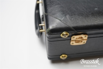 Alto Saxophone YAS-875EX