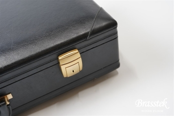 Alto Saxophone YAS-875EX