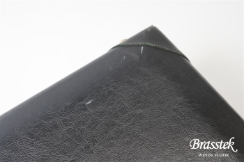 Alto Saxophone YAS-875EX