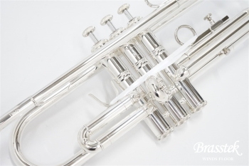 B♭Trumpet TR600SP