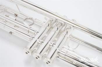 B♭Trumpet TR600SP