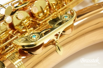 Tenor Saxophone  T-WO2