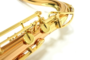 Tenor Saxophone  T-WO2