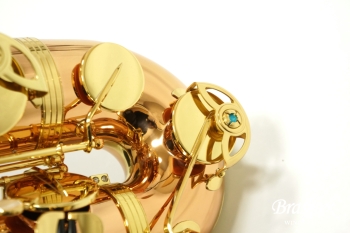 Tenor Saxophone  T-WO2