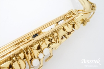 Alto Saxophone Standard