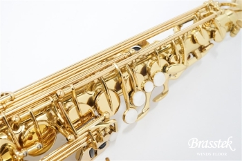 Alto Saxophone Standard