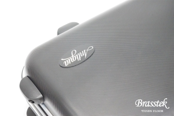 Alto Saxophone Standard