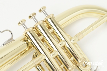 Flugelhorn YFH-8310Z【即納可能】