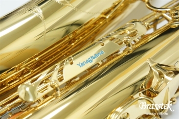 Tenor Saxophone T-WO1