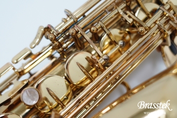 Alto Saxophone A-880 ELIMONA 