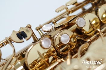 Alto Saxophone A-880 ELIMONA 