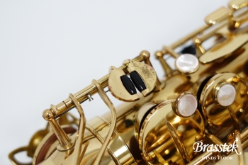 Alto Saxophone A-880 ELIMONA 