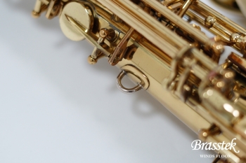 Alto Saxophone A-880 ELIMONA 