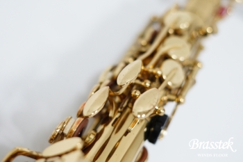 Alto Saxophone A-880 ELIMONA 