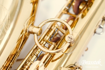 Alto Saxophone A-880 ELIMONA 