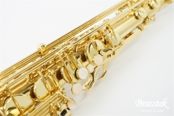 Tenor Saxophone Axos【お取り寄せ商品】