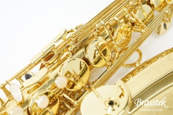 Tenor Saxophone Axos【お取り寄せ商品】
