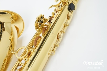 Tenor Saxophone Axos【お取り寄せ商品】