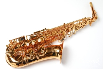 Alto Saxophone PRO ONE【お取り寄せ商品】
