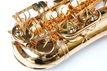 Alto Saxophone PRO ONE【お取り寄せ商品】