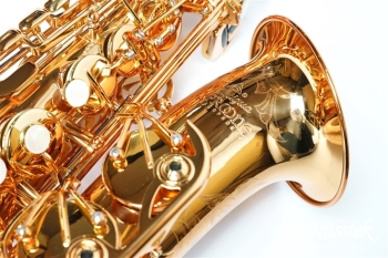 Alto Saxophone PRO ONE【お取り寄せ商品】