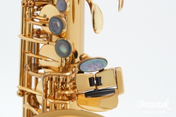 Alto Saxophone SA80 Serie II FIRE BIRD Limited Edition