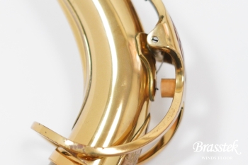 Alto Saxophone SA80 Serie II FIRE BIRD Limited Edition