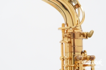 Alto Saxophone SA80 Serie II FIRE BIRD Limited Edition
