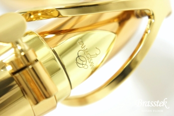 Tenor Saxophone  T-WO2