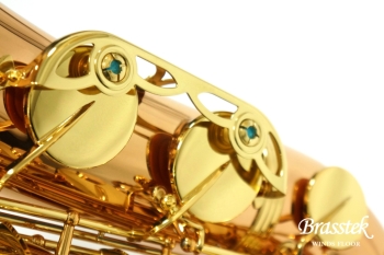 Tenor Saxophone  T-WO2