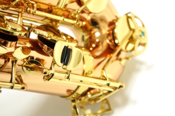 Tenor Saxophone  T-WO2