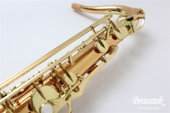 Tenor Saxophone T-WO2