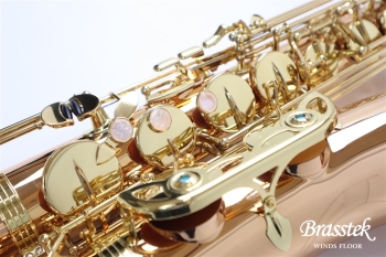 Tenor Saxophone T-WO2