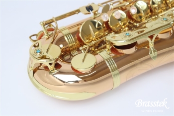 Tenor Saxophone T-WO2