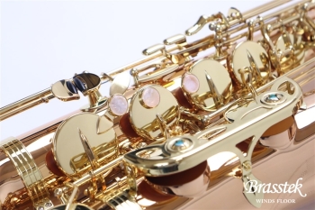 Tenor Saxophone T-WO2