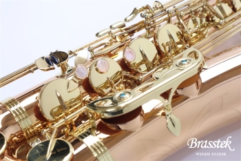 Tenor Saxophone T-WO2