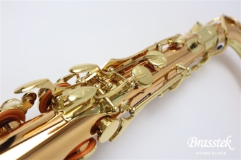 Tenor Saxophone T-WO2