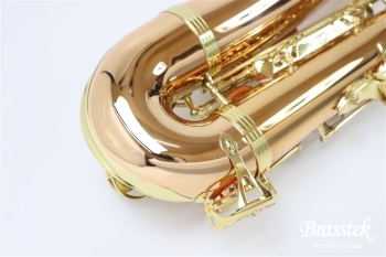 Tenor Saxophone T-WO2