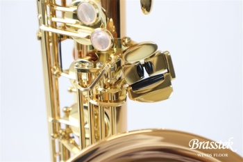 Tenor Saxophone T-WO2